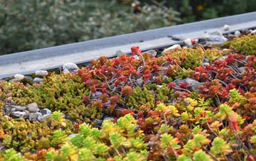 the cost of New Barton green roof installation
