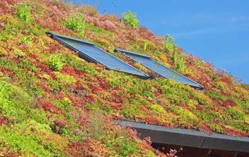 New Barton living roof systems