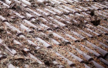 New Barton roof cleaning companies